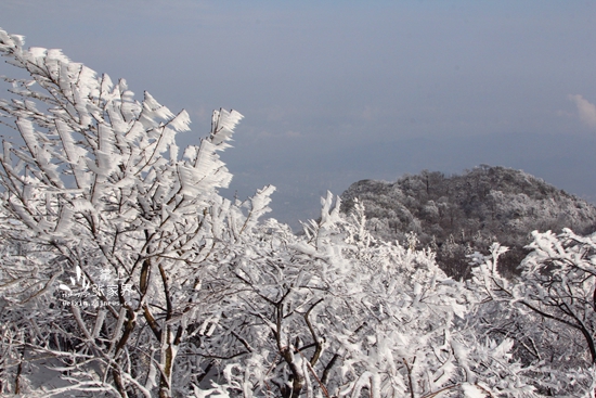 12.15張家界天門山冰雪奇景 丁云娟攝 (18).jpg