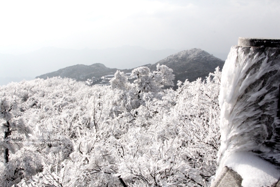 12.15張家界天門山冰雪奇景 丁云娟攝 (20).jpg