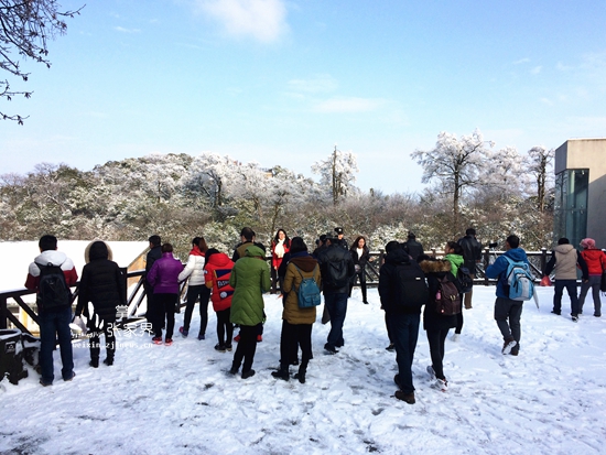 12.15張家界天門山冰雪奇景 丁云娟攝 (2).jpg