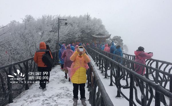 偶遇新春雪，游人欣喜不已 丁云娟攝_副本.jpg