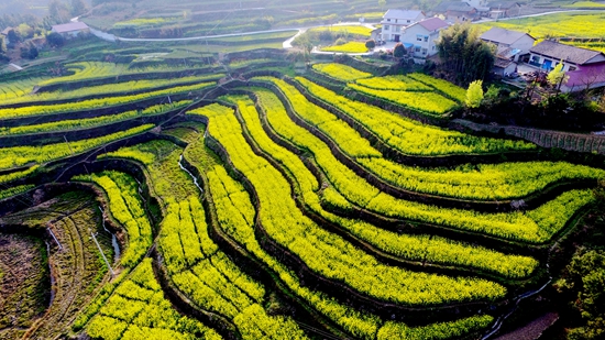 人間“桃花源”抗金巖田園風(fēng)光：攝影：毛建初 (6).jpg