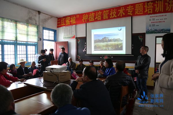 高溪村村民在認(rèn)真學(xué)習(xí)三紅蜜柚種植技術(shù)_副本.jpg