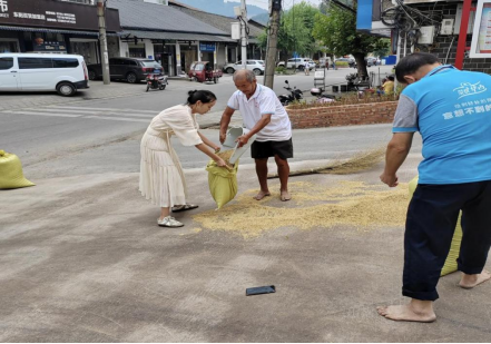 永定區(qū)新橋鎮(zhèn)：辦實(shí)事、解民憂，干群合力助秋收717.png