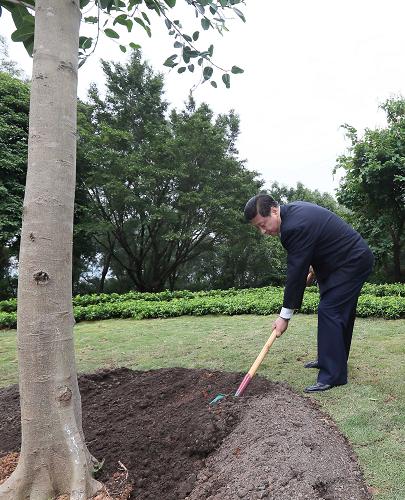 2012年12月7日至11日，習(xí)近平在廣東省考察工作。這是8日上午，習(xí)近平在深圳蓮花山公園種下一棵高山榕樹。新華社記者 蘭紅光 攝