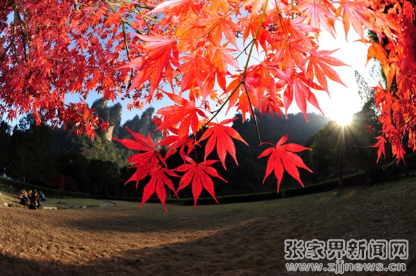 活動(dòng)DSC_6523_副本.jpg